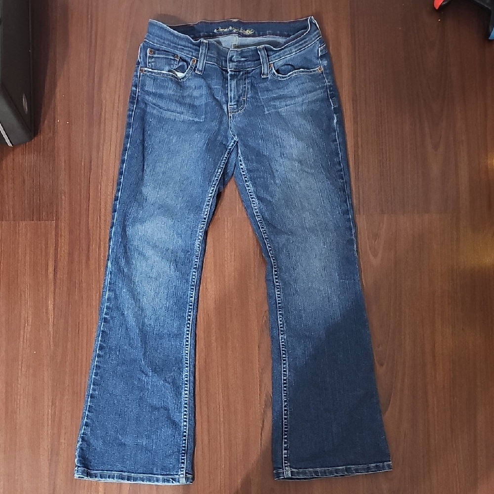 American Eagle Outfitters Blue Flare Jeans